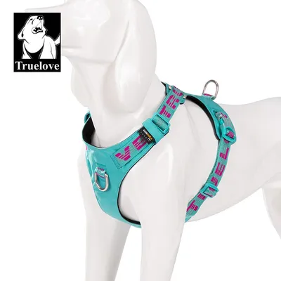 Truelove Colorado PLUS + Harnais chien dressage anti traction & promenade Truelove Colorado PLUS + Harnais chien dressage anti traction & promenade
