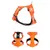 Truelove Colorado PLUS + Harnais chien dressage anti traction & promenade