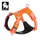 Colorado Plus Orangeade XS: 33 - 43 cm