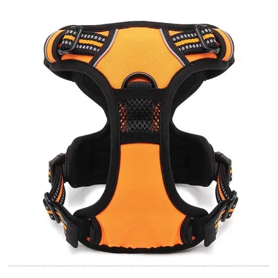 Harnais chien Truelove Country Harnais chien dressage anti traction & prome Harnais chien Truelove Country Harnais chien dressage anti traction & prome