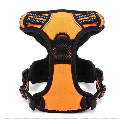 Harnais chien Truelove Country Harnais chien dressage anti traction & prome