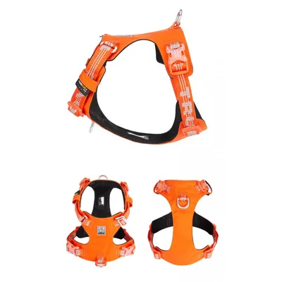 Truelove Colorado PLUS + Harnais chien dressage anti traction & promenade Truelove Colorado PLUS + Harnais chien dressage anti traction & promenade