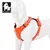 Truelove Colorado PLUS + Harnais chien dressage anti traction & promenade Truelove Colorado PLUS + Harnais chien dressage anti traction & promenade