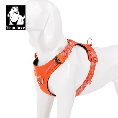 Truelove Colorado PLUS + Harnais chien dressage anti traction & promenade Truelove Colorado PLUS + Harnais chien dressage anti traction & promenade