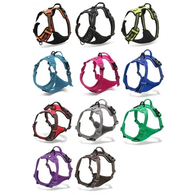 Harnais chien Truelove Country Harnais chien dressage anti traction & prome
