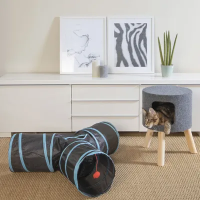 Love Story - Tunnel de jeux pour chat