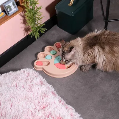 The concept factory - Jeu d'intelligence pour chien et chat