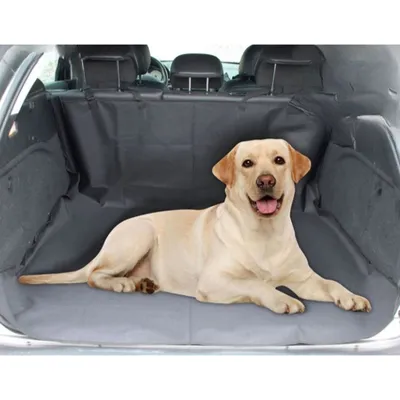 Dogi - Protection de coffre de voiture imperméable pour chien