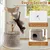 Giantex Arbre a Chat Design Naturel en Bois Poirier Massif Giantex Arbre a Chat Design Naturel en Bois Poirier Massif