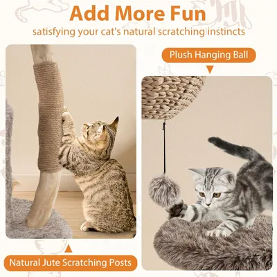Giantex Arbre a Chat Design Naturel en Bois Poirier Massif Giantex Arbre a Chat Design Naturel en Bois Poirier Massif