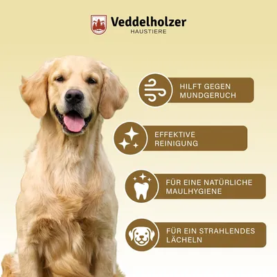 Spray dentaire probiotique pour chiens et chats avec brosse à dents Spray dentaire probiotique pour chiens et chats avec brosse à dents