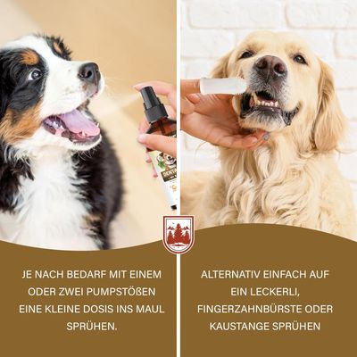Veddelholzer 150 ml Probiotisches Dentalspray Set für Hunde & Katzen