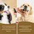 Spray dentaire probiotique pour chiens et chats avec brosse à dents Spray dentaire probiotique pour chiens et chats avec brosse à dents