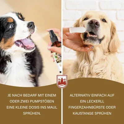 Spray dentaire probiotique pour chiens et chats avec brosse à dents Spray dentaire probiotique pour chiens et chats avec brosse à dents