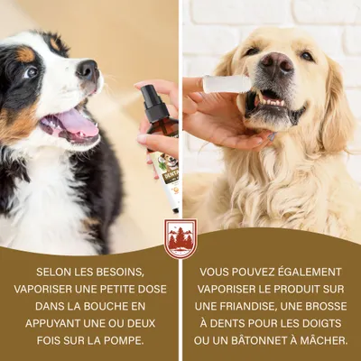 Spray dentaire probiotique pour chiens et chats avec brosse à dents Spray dentaire probiotique pour chiens et chats avec brosse à dents