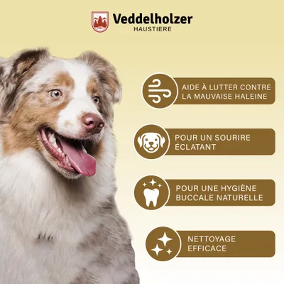 Spray dentaire probiotique pour chiens et chats avec brosse à dents Spray dentaire probiotique pour chiens et chats avec brosse à dents