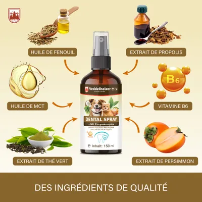 Spray dentaire probiotique pour chiens et chats avec brosse à dents Spray dentaire probiotique pour chiens et chats avec brosse à dents