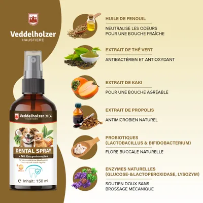 Spray dentaire probiotique pour chiens et chats avec brosse à dents Spray dentaire probiotique pour chiens et chats avec brosse à dents