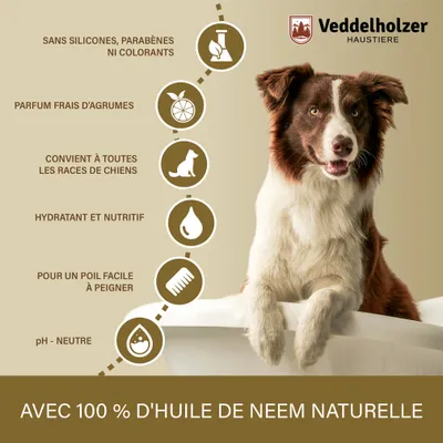 Veddelholzer Shampooing Naturel à l'huile de Neem Veddelholzer Shampooing Naturel à l'huile de Neem
