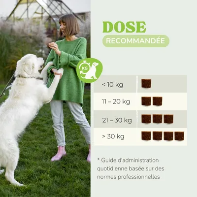 Lamina Care – Friandises Digestives aux Probiotiques & Psyllium Lamina Care – Friandises Digestives aux Probiotiques & Psyllium