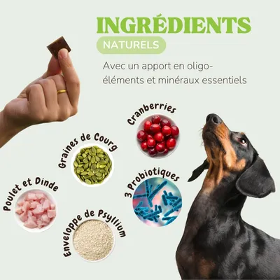 Lamina Care – Friandises Digestives aux Probiotiques & Psyllium Lamina Care – Friandises Digestives aux Probiotiques & Psyllium