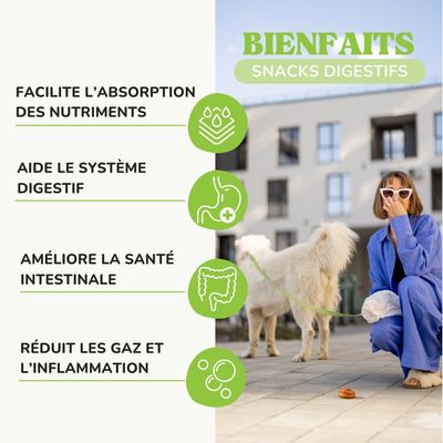 Lamina Care – Friandises Digestives aux Probiotiques & Psyllium