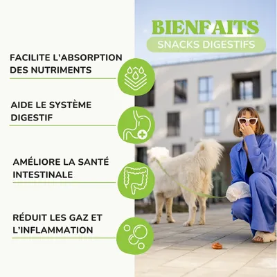 Lamina Care – Friandises Digestives aux Probiotiques & Psyllium Lamina Care – Friandises Digestives aux Probiotiques & Psyllium