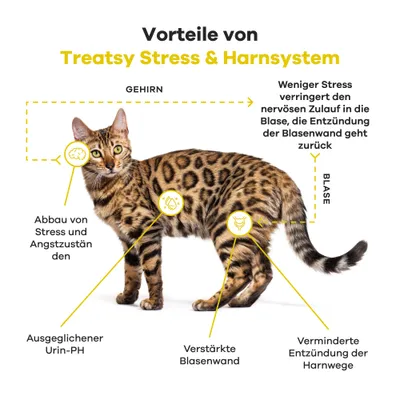 Treatsy Nahrungsergänzungsmittel Katze, Stress & Harnsystem Treatsy Nahrungsergänzungsmittel Katze, Stress & Harnsystem