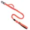 Must&Co - Laisse élastique Anti-Traction pour chien Rose
