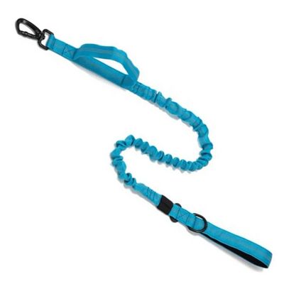 Must&Co - Laisse élastique Anti-Traction pour chien Bleue