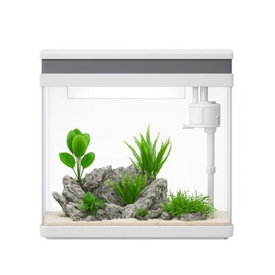 AquaOne Nano Aquarium avec filtration, LED et verre ultra blanc
