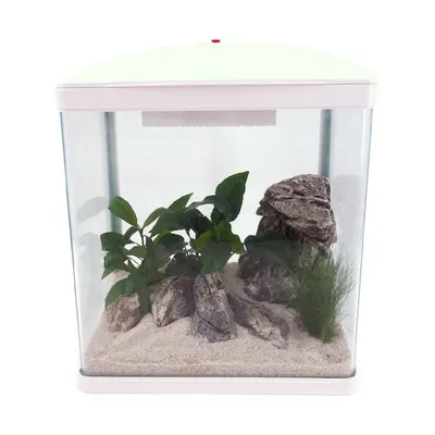 AquaOne Nano Aquarium 14L, système de filtration complet nouveau modèle LED