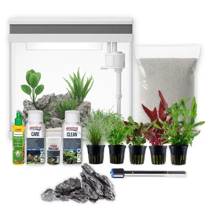 AquaOne Nano Aquarium avec décoration, filtration et éclairage LED
