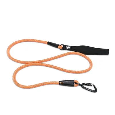 Laisse ronde chien Truelove Running