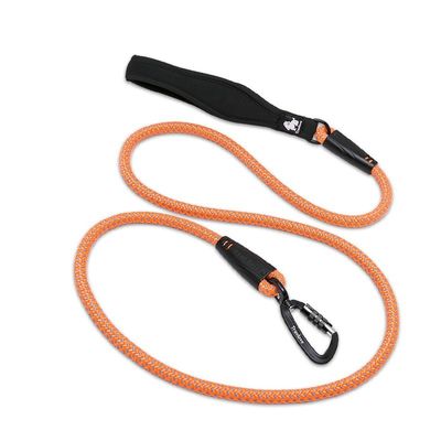 Laisse ronde chien Truelove Running