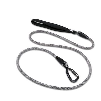 Laisse ronde chien Truelove Running