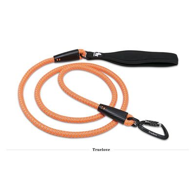 Laisse ronde chien Truelove Running