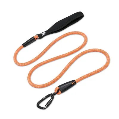 Laisse ronde chien Truelove Running