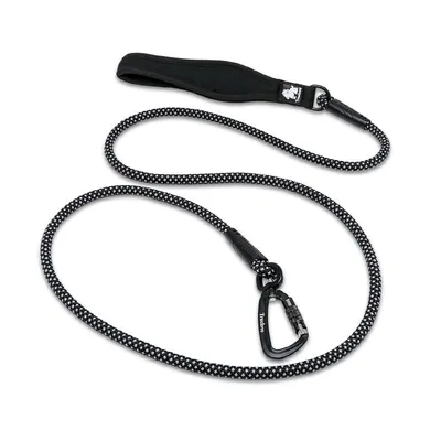 Laisse ronde chien Truelove Running