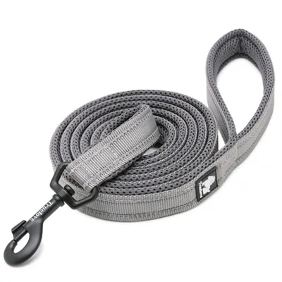 Laisse chien Truelove Walk assortie au harnais TRUELOVE Country PLUS Laisse chien Truelove Walk assortie au harnais TRUELOVE Country PLUS