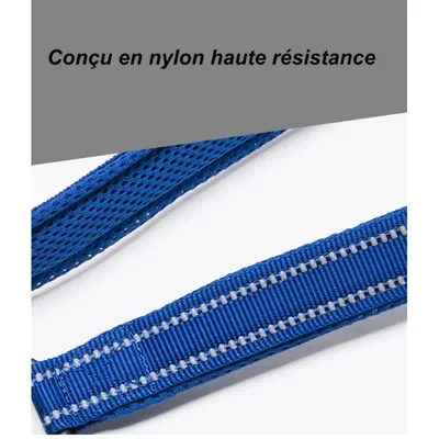 Laisse chien Truelove Walk assortie au harnais TRUELOVE Country PLUS