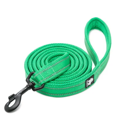 Laisse chien Truelove Walk assortie au harnais TRUELOVE Country PLUS