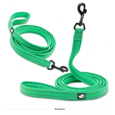 Laisse chien Truelove Walk assortie au harnais TRUELOVE Country PLUS