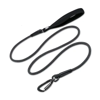 Laisse ronde chien Truelove Running