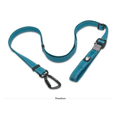 Laisse extensible chien Truelove CLIMB