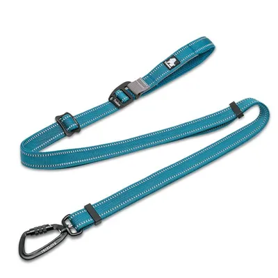 Laisse extensible chien Truelove CLIMB