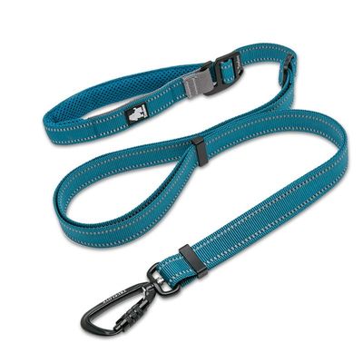 Laisse extensible chien Truelove CLIMB