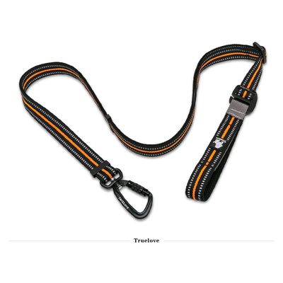 Laisse extensible chien Truelove CLIMB
