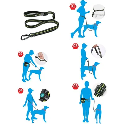 Laisse extensible chien Truelove CLIMB Laisse extensible chien Truelove CLIMB