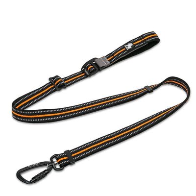 Laisse extensible chien Truelove CLIMB